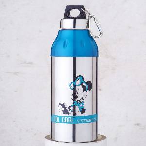 Steel & Plastic Insulated Bottle